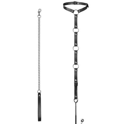 Anal Hooks EverydayUse and with Hook Kinky Leash 5853 Anal Collar 0128